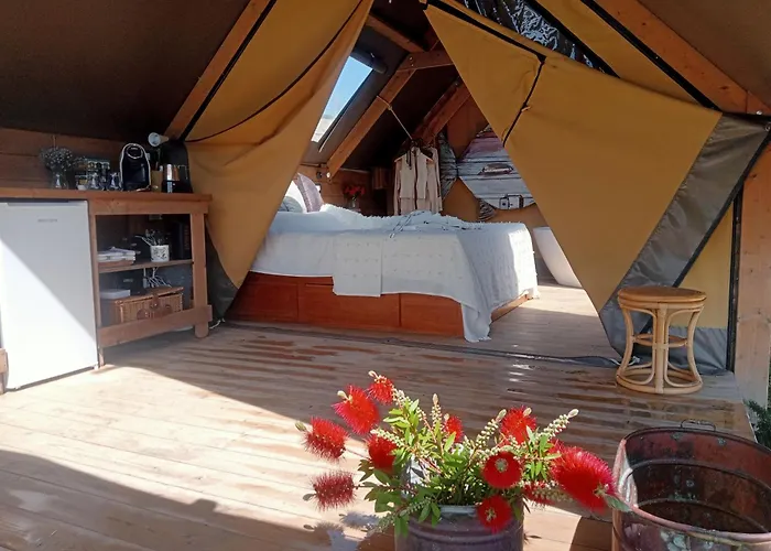 Podere Il FornacinoAgriturismo